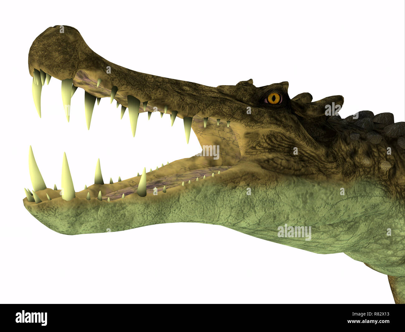 Kaprosuchus Reptile Kopf Kaprosuchus War Eine Fleischfressende Krokodil Dass In Niger Afrika Wahrend Der Kreidezeit Lebten Stockfotografie Alamy