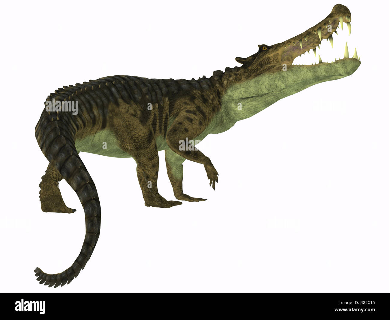 Kaprosuchus Reptile Schwanz - Kaprosuchus war eine fleischfressende Krokodil, dass in Niger, Afrika während der Kreidezeit lebten. Stockfoto