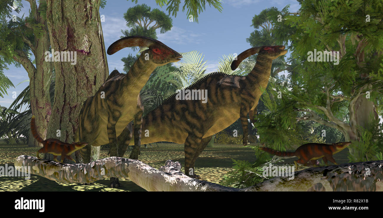 Parasaurolophus im Wald - Zwei Parasaurolophus Dinosaurier auf Laub des Montezuma Cypress Tree durchsuchen, als Säugetiere Cronopia scrurry zur Sicherheit. Stockfoto