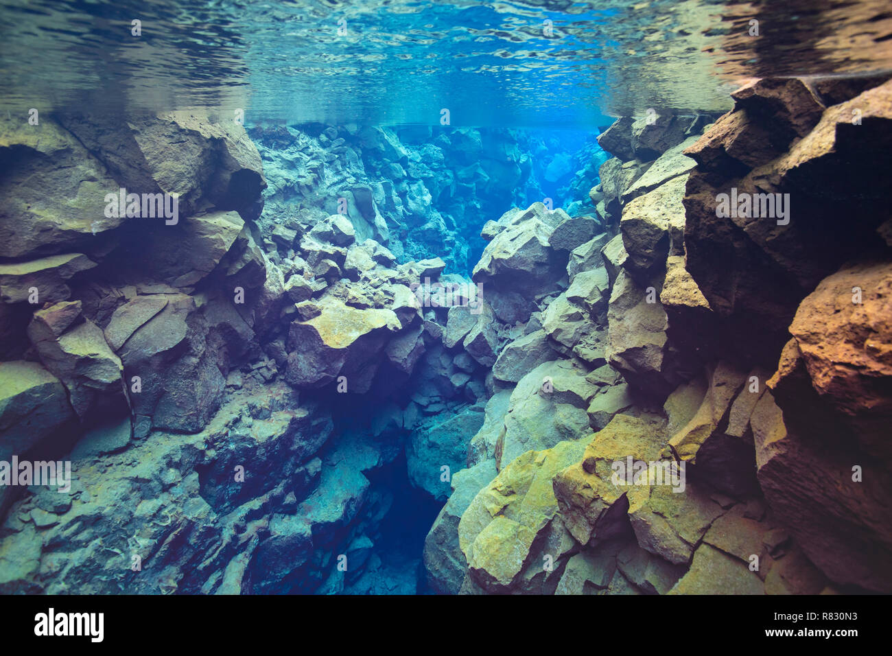 Unterwasser, Silfra, den Nationalpark Thingvellir, Island Stockfoto