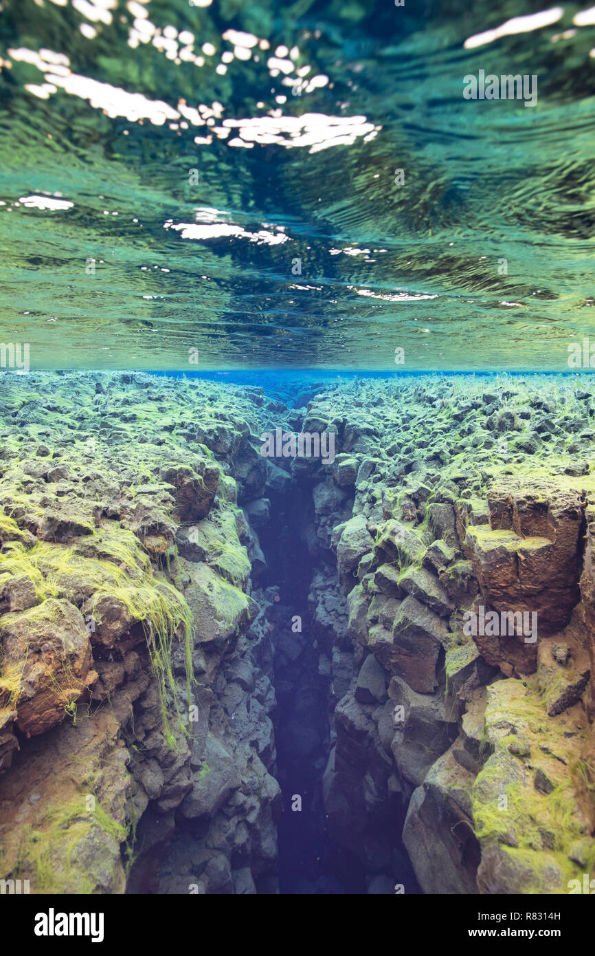Unterwasser, Silfra, den Nationalpark Thingvellir, Island Stockfoto