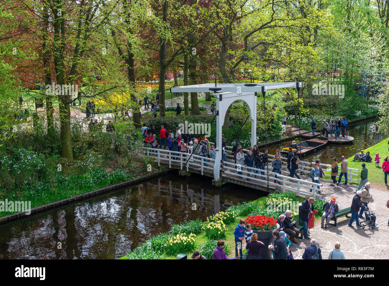Hohe Aspekt der Besucher zu Fuß rund um die weltweit größte Glühbirne Blume Garten im Frühjahr (April 2018) im Keukenhof Lisse, Niederlande, Die Niederlande Stockfoto