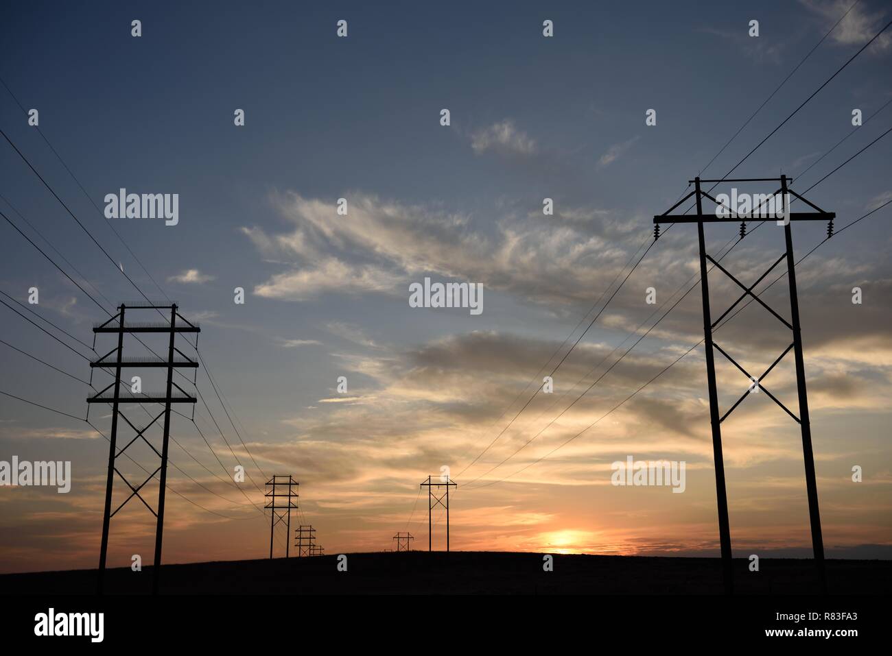 Silhouette des Stromnetzverteilernetzes, Strommasten und Hochspannungsleitungen, die bei Sonnenuntergang in den fernen Horizont übergehen Stockfoto