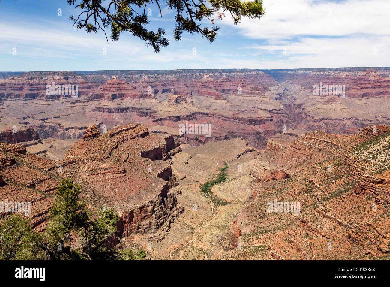South Rim Grand Canyon geschnitzt von den Colorado River in Arizona, mehrschichtige hat Bands von Red Rock enthüllt Millionen Jahre der Erdgeschichte. Viewp Stockfoto