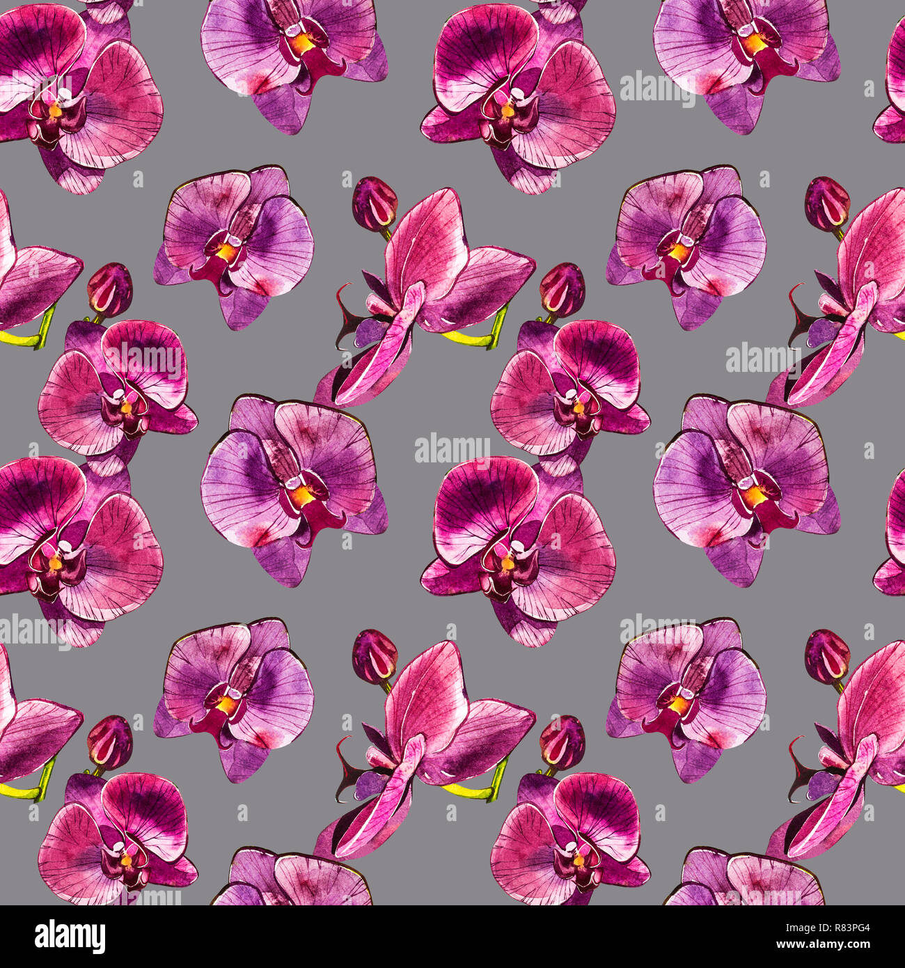 Aquarell orchidee Zweig, Hand gezeichnet floral nahtlose Muster Hintergrund. Flora watercolor Illustration, botanische Malerei, Zeichnung. Stockfoto