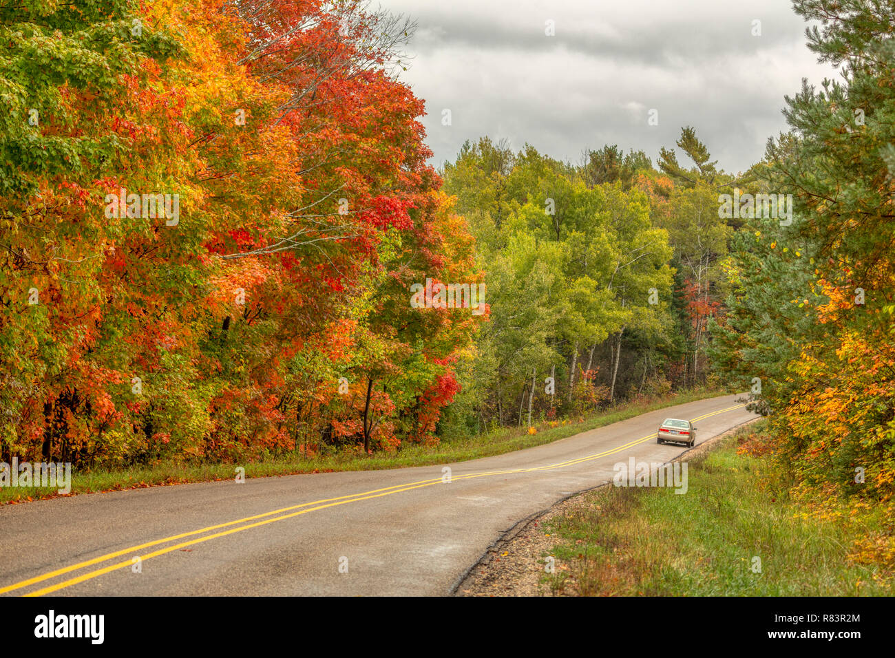 Oktober 6, 2013, Atlanta, MI: Eine einsame Autofahrer Antriebe unten ein buntes, Wicklung Northern Michigan Straße nach einem frühen Morgen regen. Stockfoto