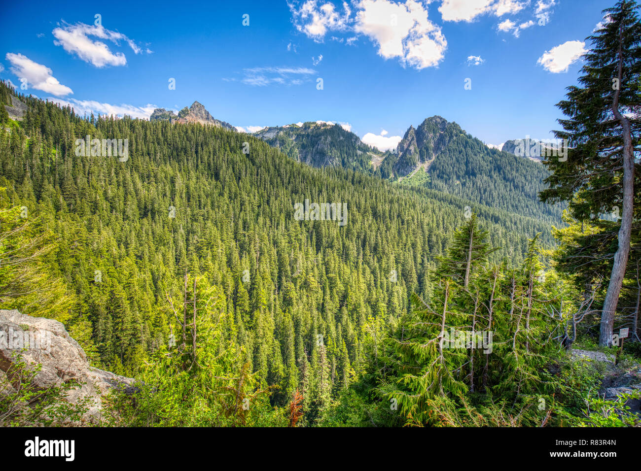 Tausende von Hektar alten Wachstum Wald kann vom malerischen Übersichten gesehen werden, wie diese, in Mt. Rainier National Park. Stockfoto