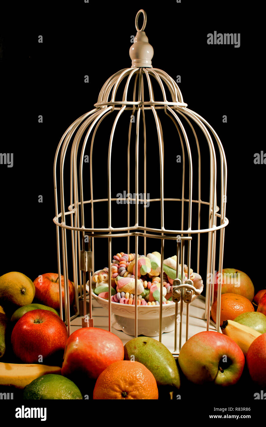 Äpfel, Birnen, Mandarinen, Bananen und Zitronen sind rund um Käfig ist ein weißer Vogel mit einer Schüssel mit Süßigkeiten angeordnet. Auf schwarzem Hintergrund isoliert. Stockfoto