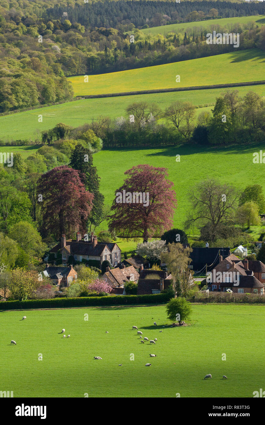 Blick auf das Dorf Turville, Buckinghamshire im Frühjahr Stockfoto