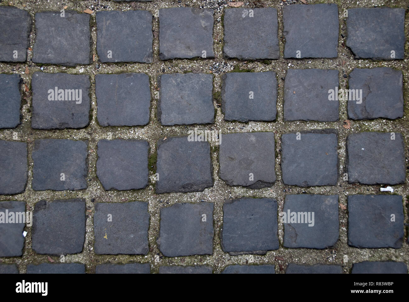 Perfekte römischen sanpietrini brick Stock. Licht und Schatten equlibrate sehr. Die Ausrichtung der Steine wird durch das diffuse Licht sublimiert. Textur. Stockfoto