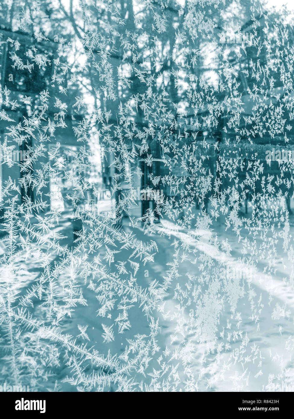 Gefrorene winter Hintergrund mit Eiskristallen. Bäume hinter Milchglas Stockfoto