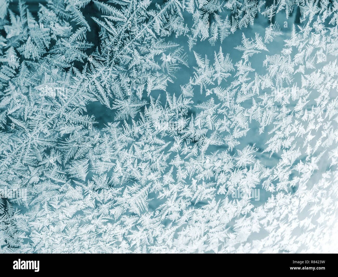 Winter Fenster beschichtet durch eisige Frost Pattern. frostigen Winter Hintergrund auf Glas Stockfoto