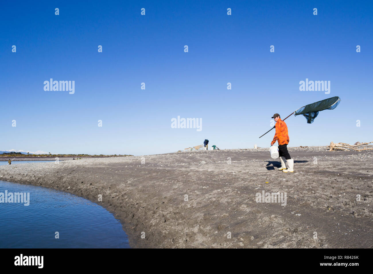 Hokitika, Neuseeland. Whitebaiting Saison Stockfoto