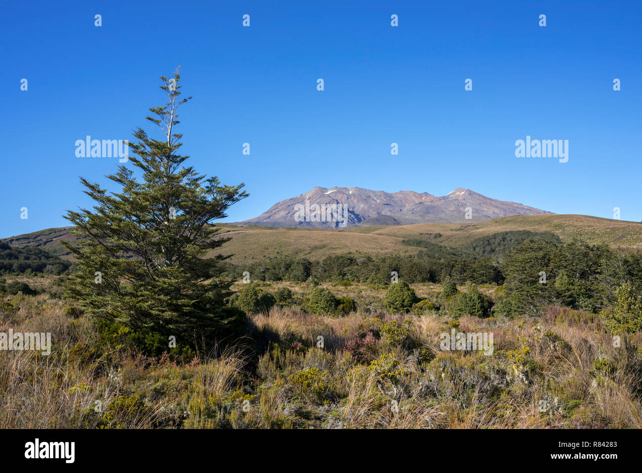 Tongariro National Park, Neuseeland. Blick auf den Mount Ruapehu Stockfoto