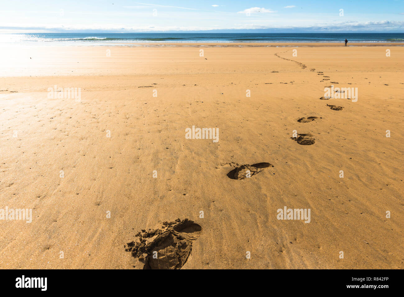 Fuß druckt auf Raudisandur Strand, westfjorde Island Stockfoto