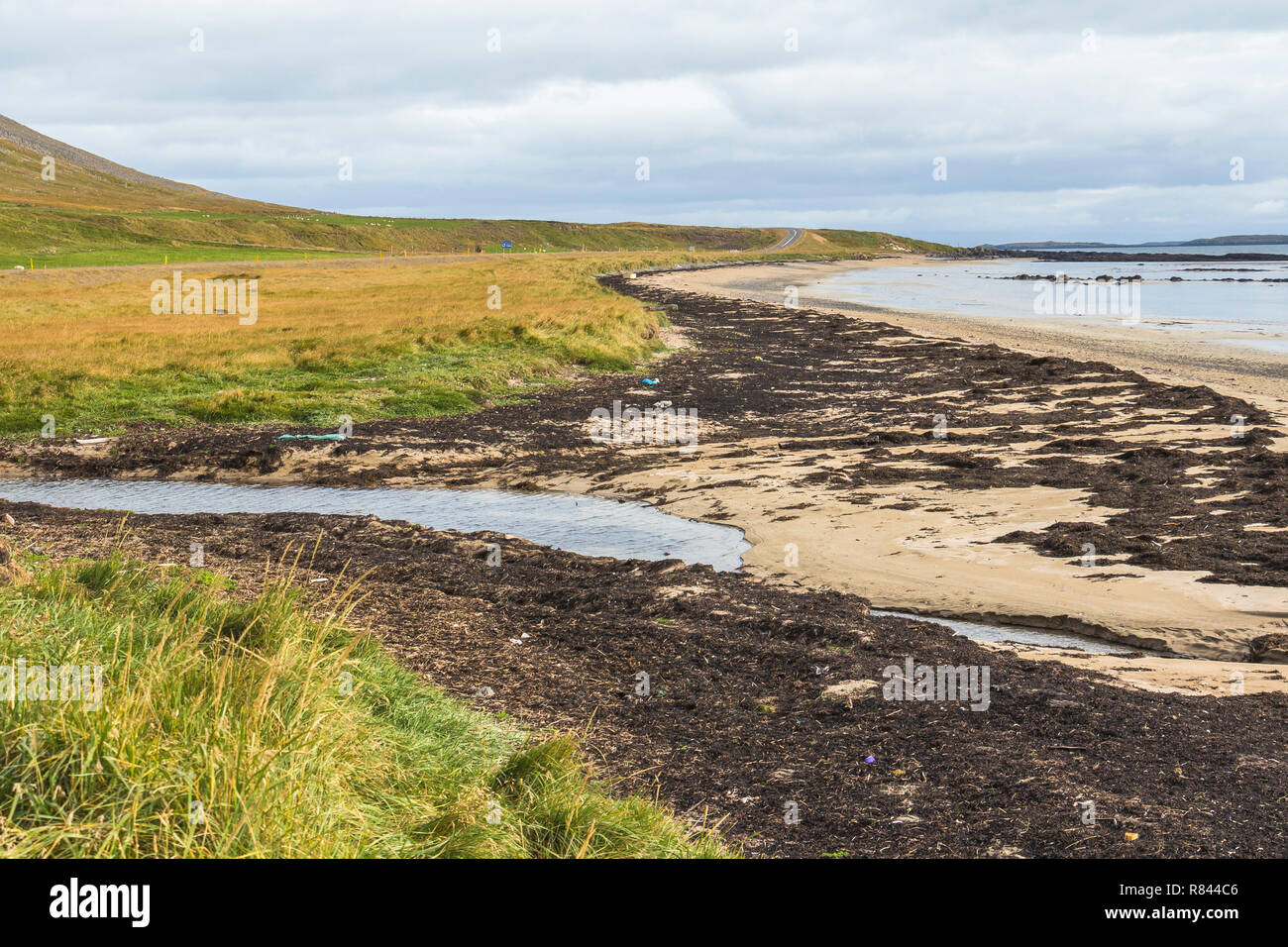 Langen und einsamen Strand im Westen Fjorde region, Island Stockfoto