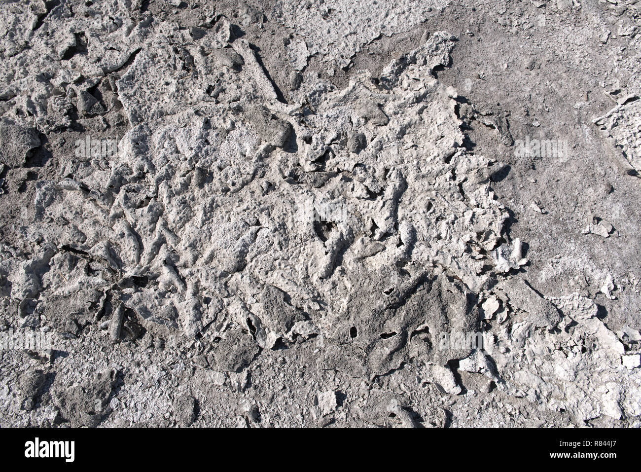 Trockenen See Bett mit natürlichen Textur der Risse im Lehm und Salz auf dem Boden Ursache der Austrocknung für eine lange Zeit, Nxai Pan National Park, Botswana Stockfoto