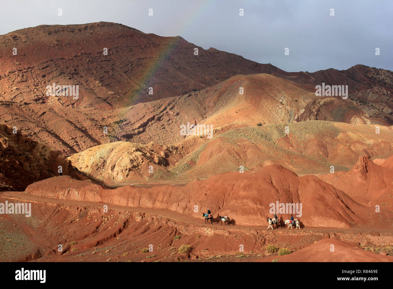 Regenbogen im Tal unten Tigzha (Tijhza) Dorf, Ouarikt Tal, Hohen Atlas, Marokko Stockfoto