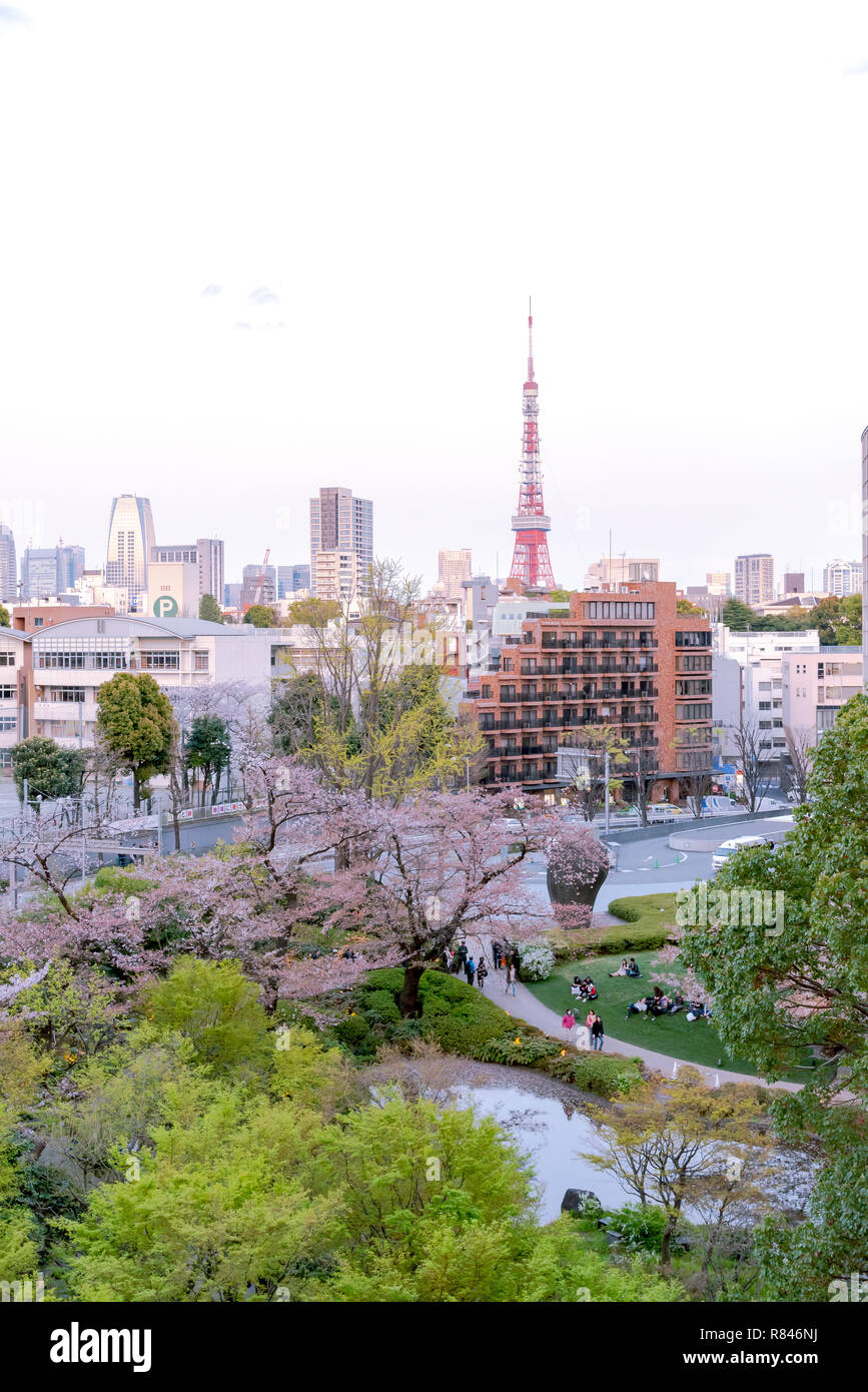 Blick auf Kirsche Blüte mit den Tokyo Tower als Hintergrund. Bei Mori Garten, Tokio, Japan Photoed. Stockfoto