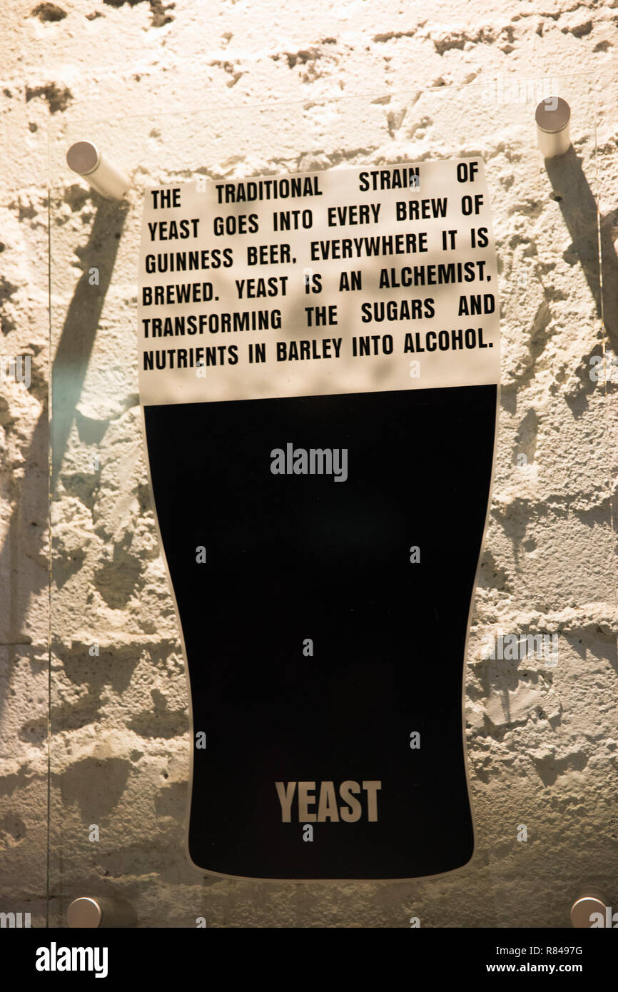 Irland, Dublin, Guinness Storehouse, Stockfoto