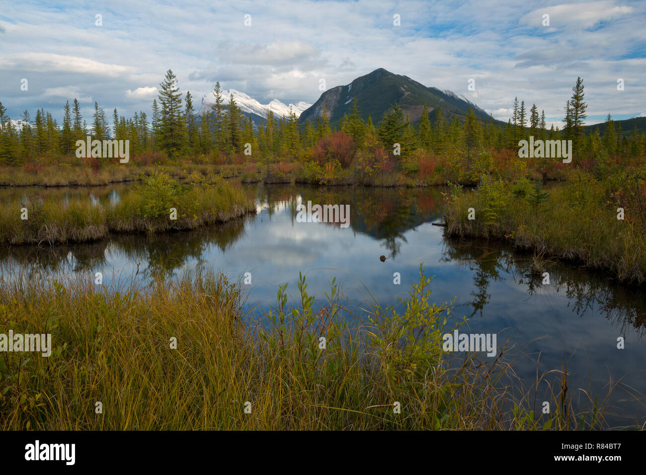 Reflexionen entlang Vermillion Seen im Banff National Park in Alberta, Kanada im Herbst. Stockfoto