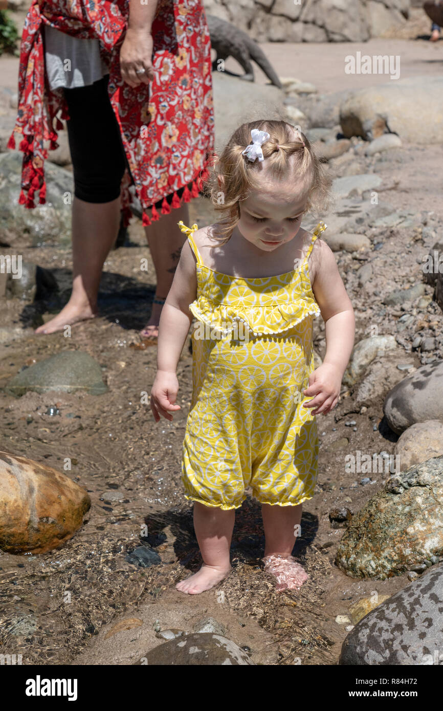 Eatonville, Washington, USA. Mutter gerade Ihre 18 Monate alte Tochter im seichten Wasser waten. (MR) Stockfoto