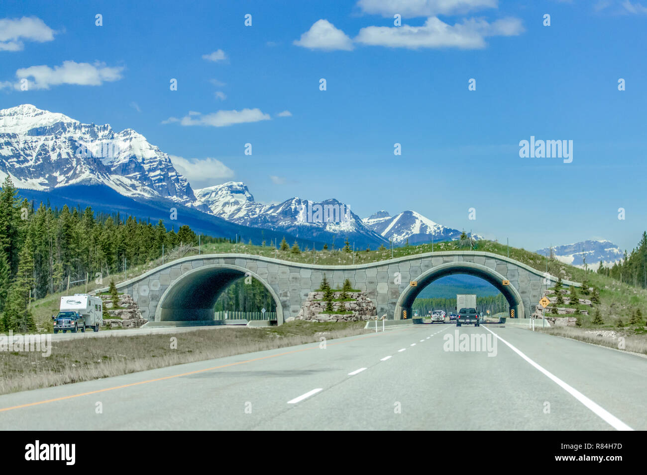 Der Trans-Canada Highway im Banff National Park, Alberta, Kanada hat das Fechten auf beiden Seiten der Partnerstadt highway große Tiere vom Zugang zu halten Stockfoto