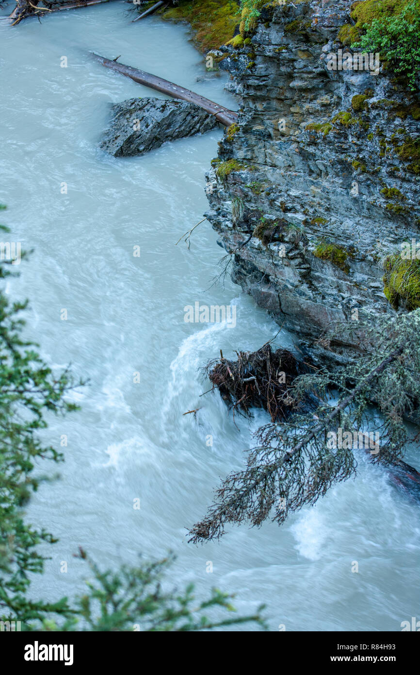 Wandern entlang der Johnston Canyon River auf der Unteren und Oberen fällt Trail im Jasper National Park, Alberta, Kanada Stockfoto