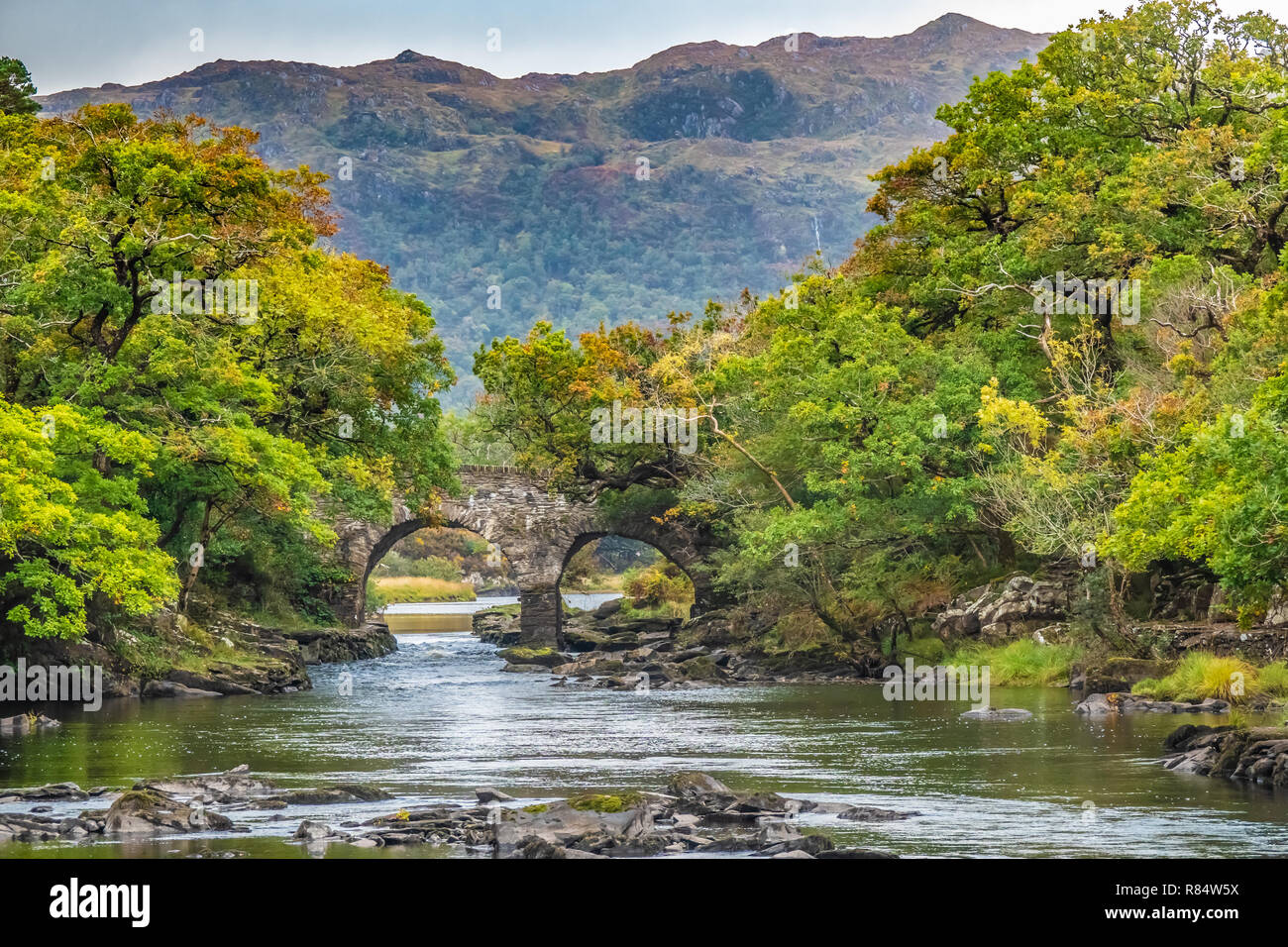 Old Weir Brücke, Sitzung des Wassers, wo die drei Killarney Seen (Obere, Muckross und Lough Lane) Nationalpark Killarney, County Kerry, ICH Stockfoto