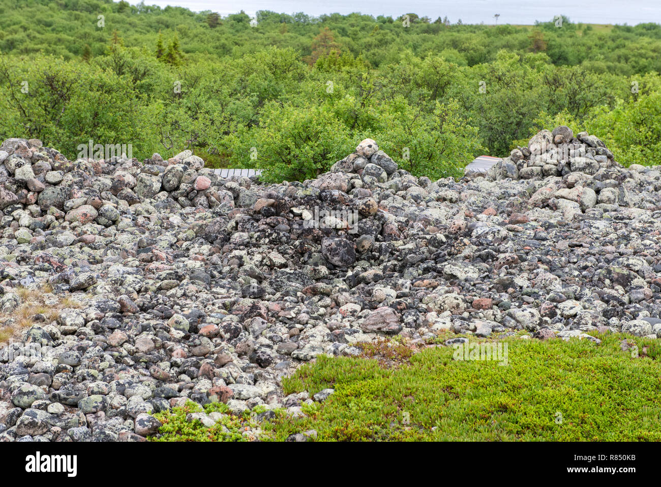 Stein warften - künstliche Steinhaufen von kleinen Felsbrocken auf dem Bolschoj Zayatsky Insel. Solovetsky Inselgruppe, Weißes Meer, Russland Stockfoto
