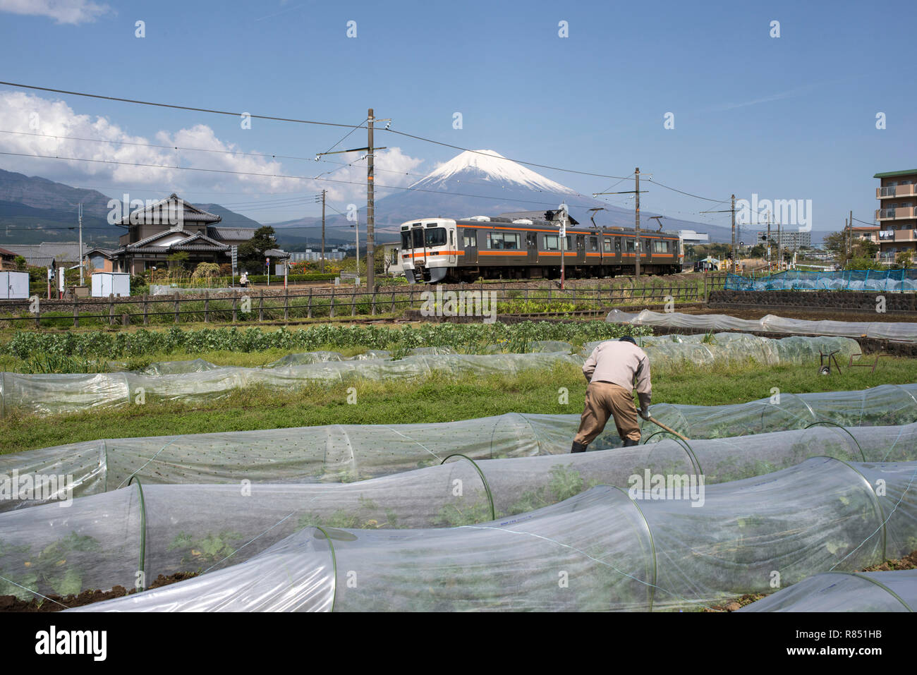 Japan, Insel Honshu, Susono: Markt Gärtner, Zug und Mount Fuji *** Local Caption *** Stockfoto