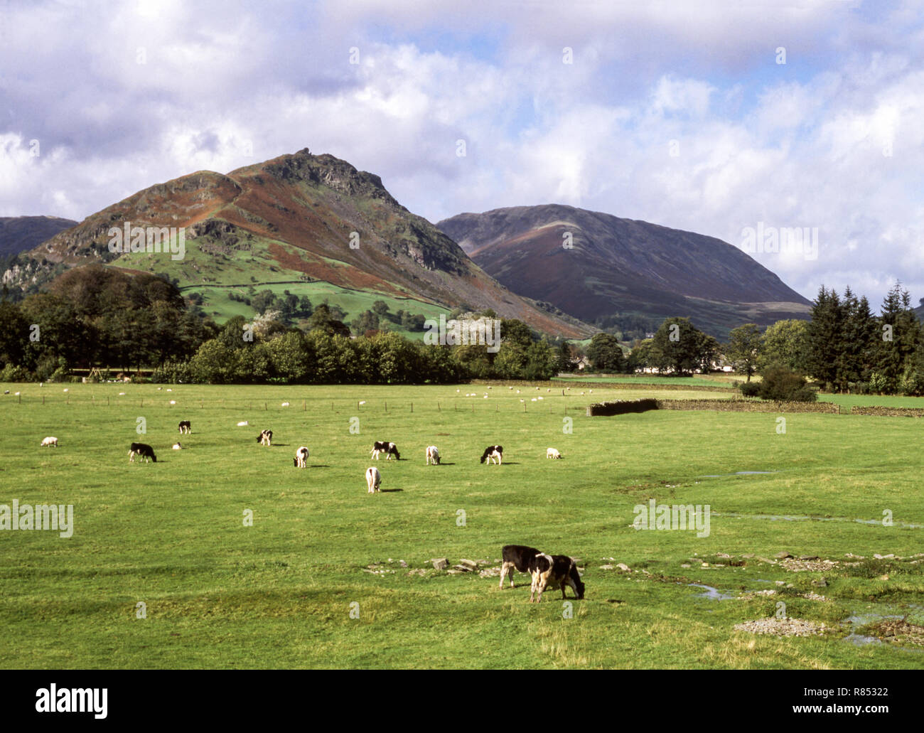 Den englischen Lake District. Grasmere. Helm crag (396 m) & Stahl fiel Stockfoto