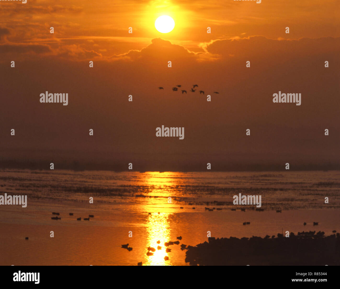 Wildfowl Trust Martin bloße, Lancashire. Wichtigste See bei Sonnenuntergang. Stockfoto