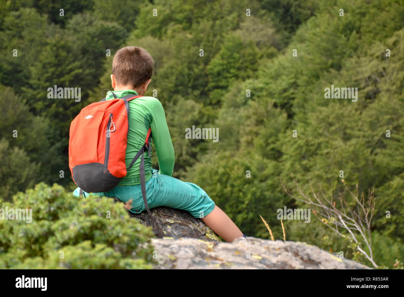 Junge sitzt auf einem felsigen Rand über einen Abgrund in die Berge, mit Bäumen sichtbar unterhalb, unscharf Stockfoto