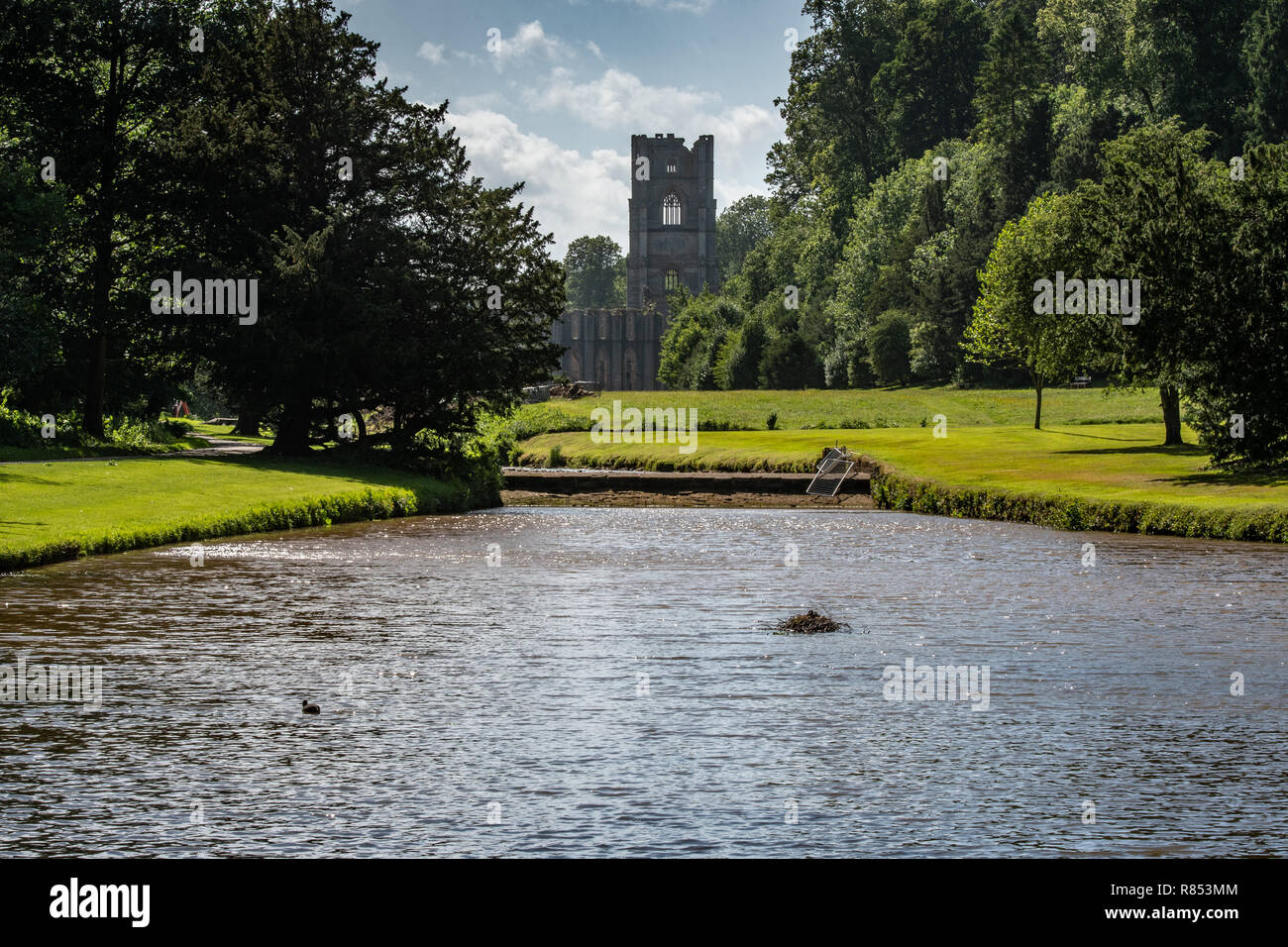 Die Fountains Abbey steht über dem Fluss Skell, Ripon, Yorkshire, Großbritannien Stockfoto
