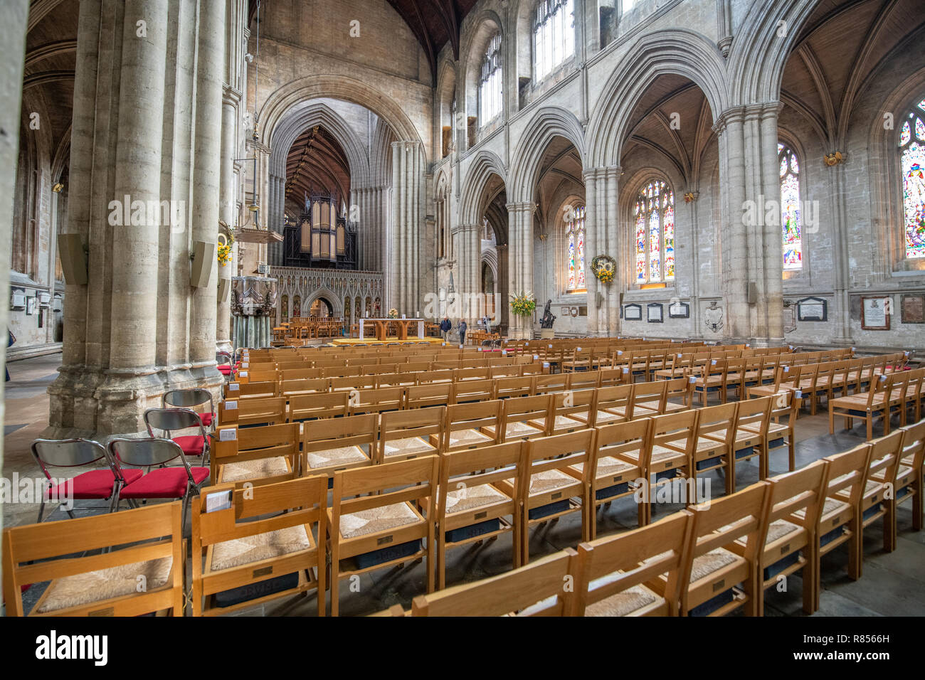 Sitzreihen Linie das Kirchenschiff der Kathedrale von Ripon, Yorkshire, Großbritannien Stockfoto