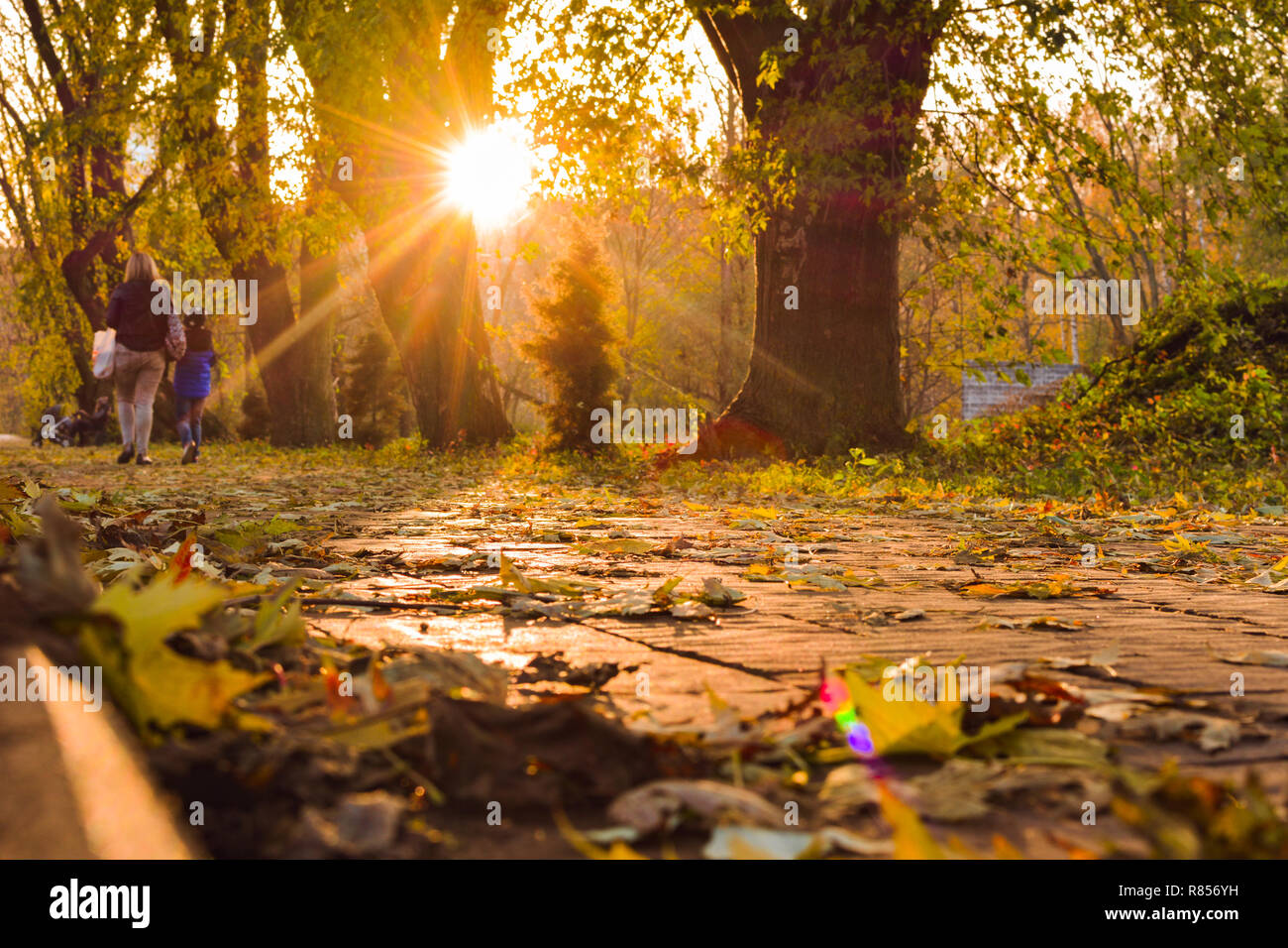 Alten bunten und malerischen Europäischen Straße in einer kleinen Stadt mit schönen alten Häusern und Pflastersteine, Herbst Abends beim Sonnenuntergang Sonne, Rzeszow, Pol Stockfoto