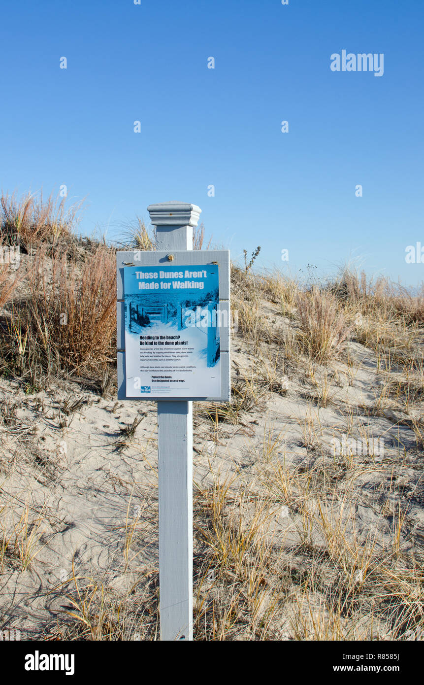 Diese Dünen sind nicht für wenige Zeichen Sanddünen am Strand in Scusset Sagamore, Teil von Bourne, Cape Cod, Massachusetts, USA zu schützen, Stockfoto