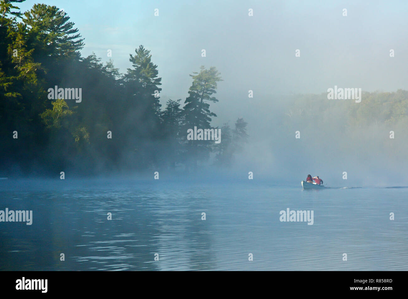 Ein Fischerboot lagen eine Wüste See früh Morgens Nebel. Stockfoto
