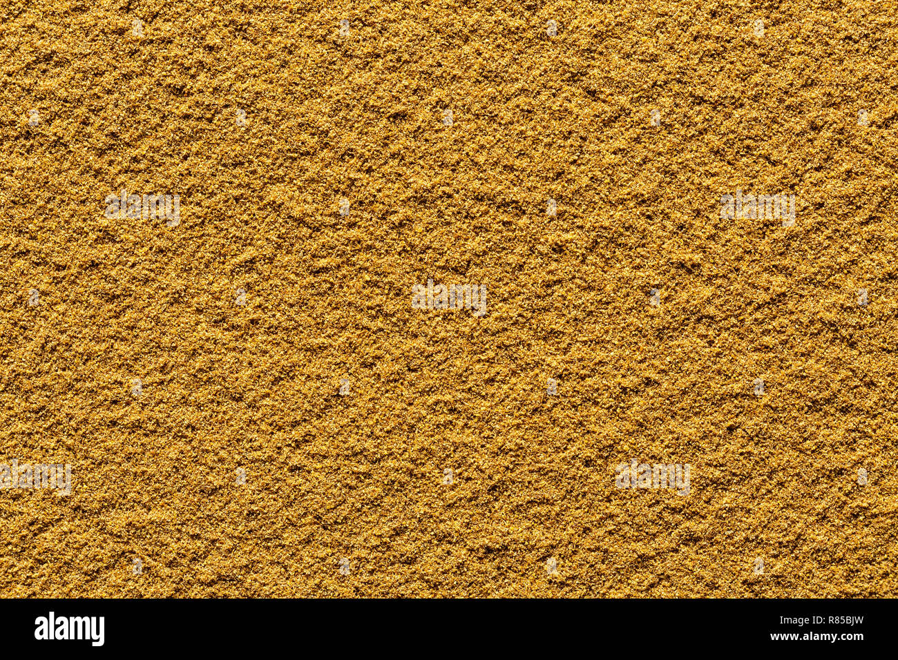 Kümmel Pulver full frame Bild Hintergrund, Ansicht von oben Stockfoto
