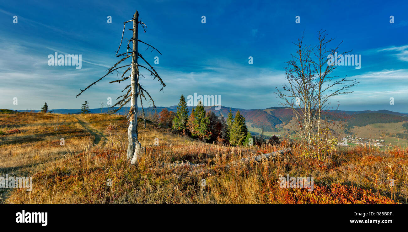 Blick vom Blößling zum Feldberg Stockfoto