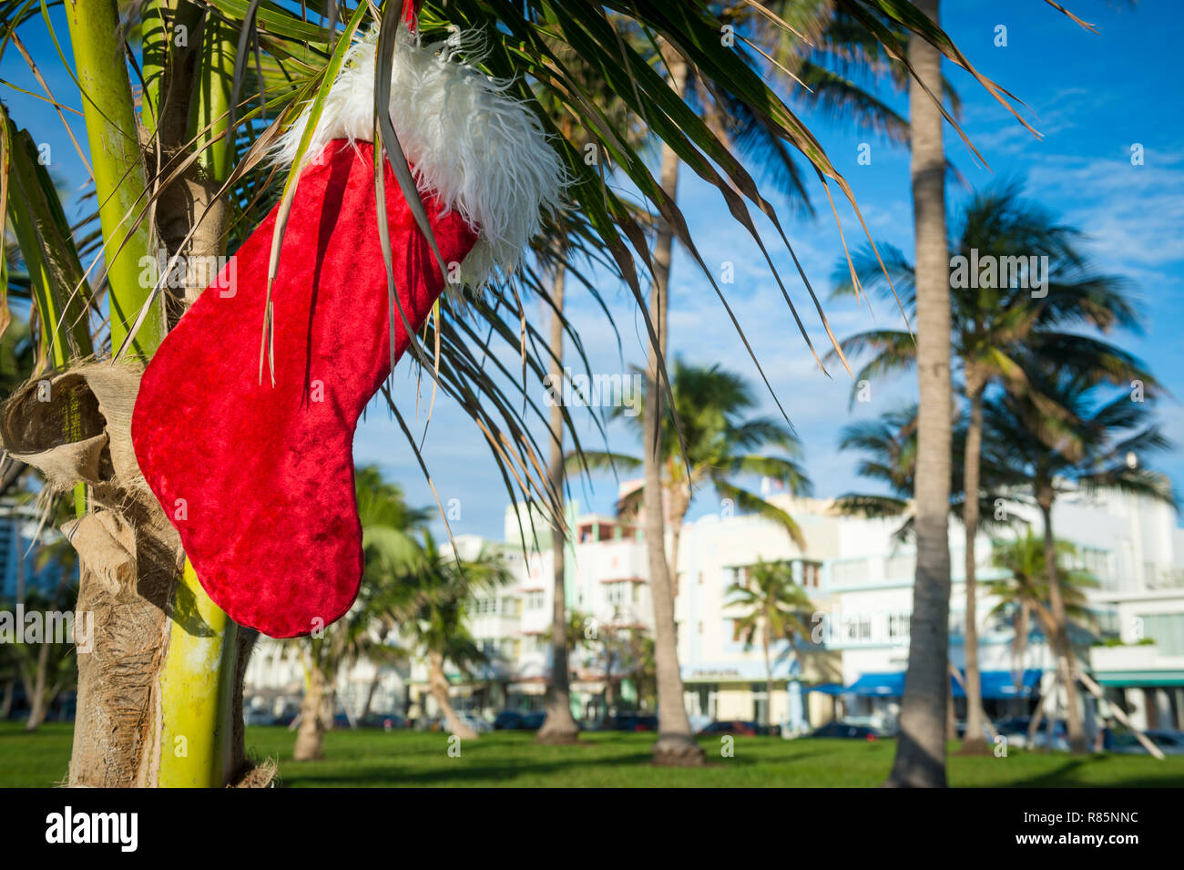 Weihnachtsstrumpf hängen von Palm Tree vor hellen tropischen Urlaub Szene in South Beach, Miami, Florida, USA Stockfoto