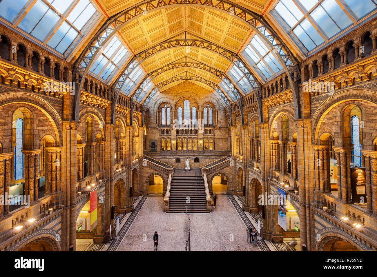 Zentrale Halle des Natural History Museum in London, England, Großbritannien Stockfoto