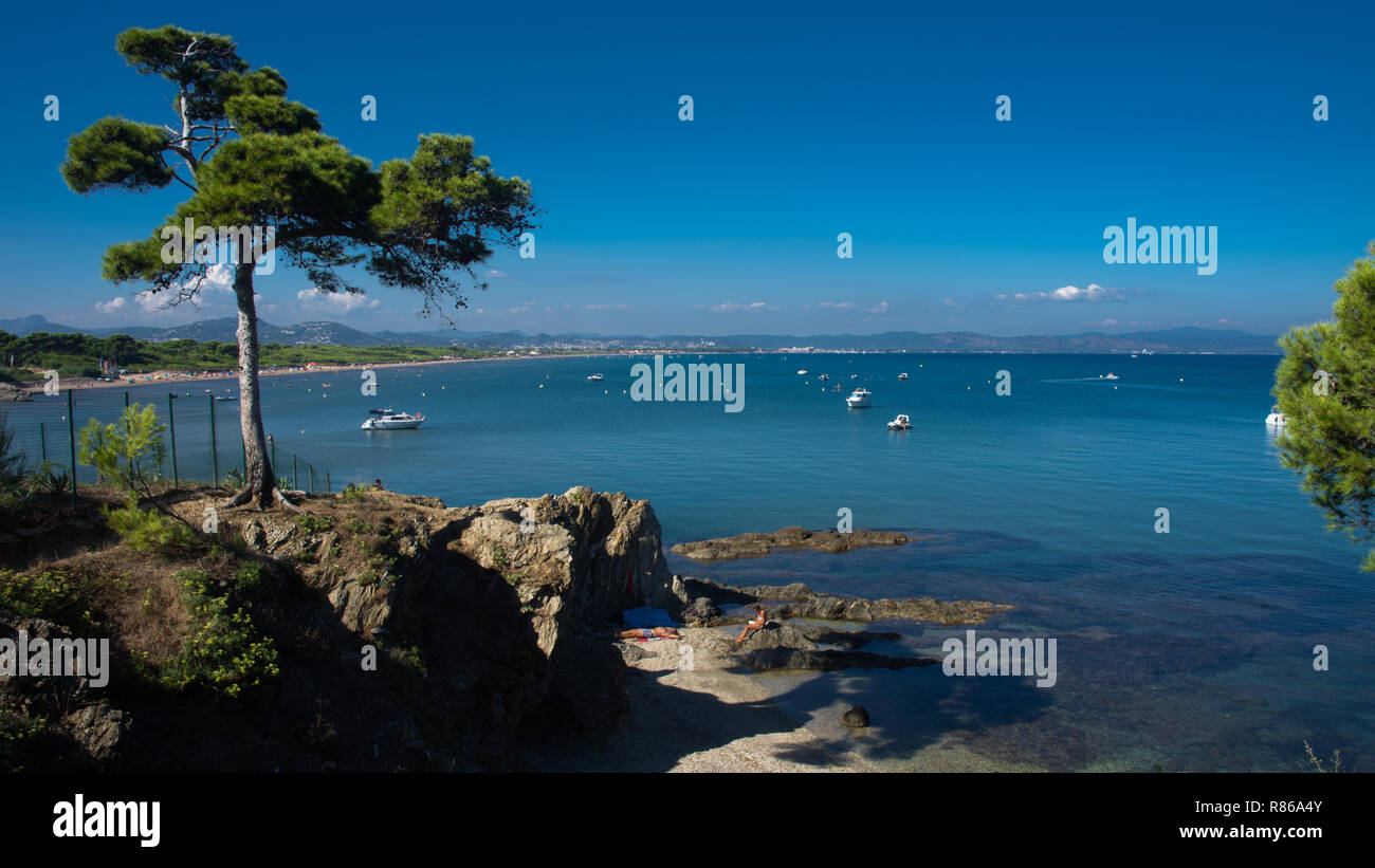 Pine Tree über Little Creek, Mittelmeer, Frankreich Stockfoto