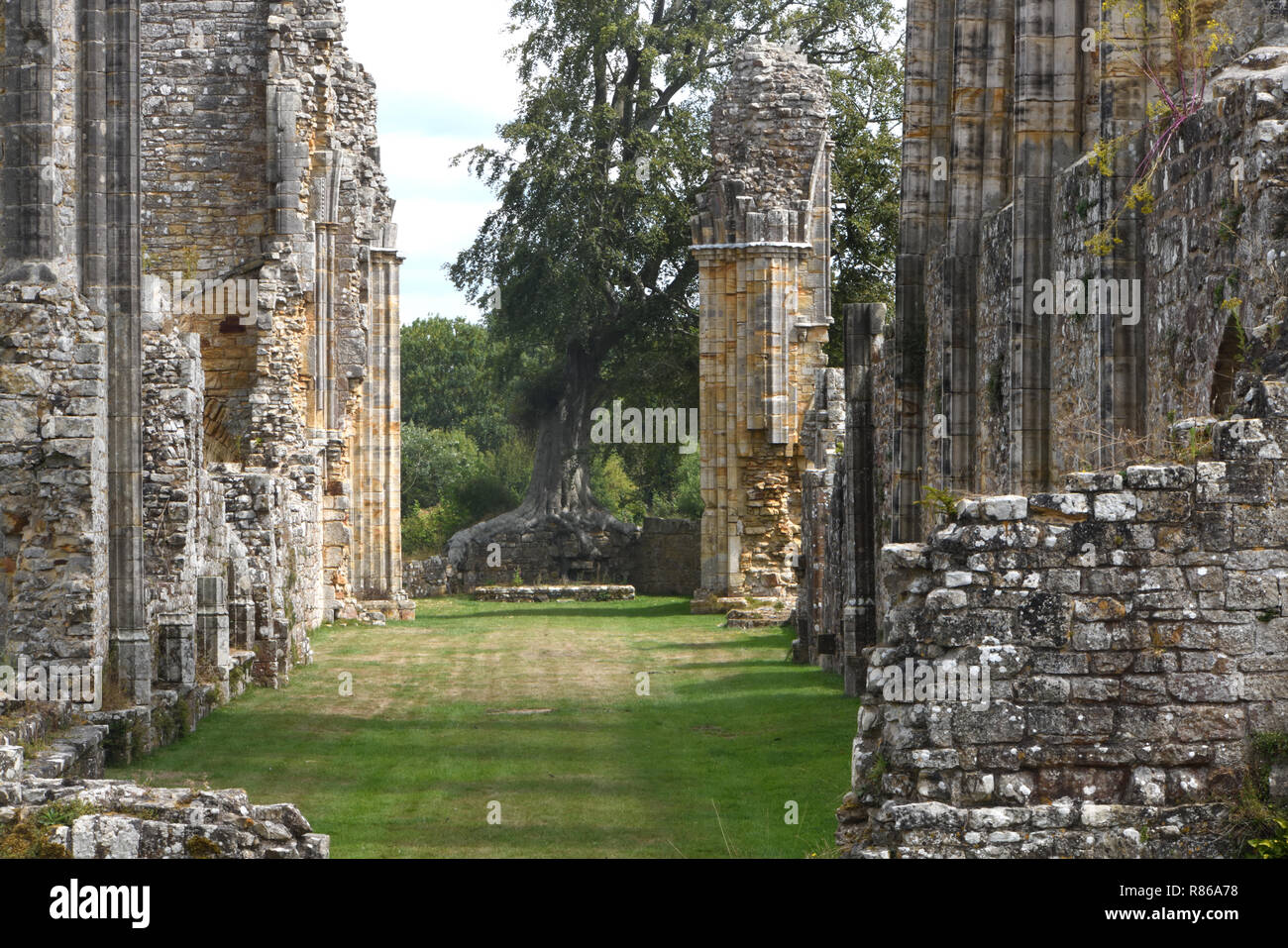 Die Ruinen von Bayham Abbey aus dem dreizehnten Jahrhundert bis fünfzehnten. Wenig Bayham, Tunbridge Wells, Kent, Großbritannien. Stockfoto