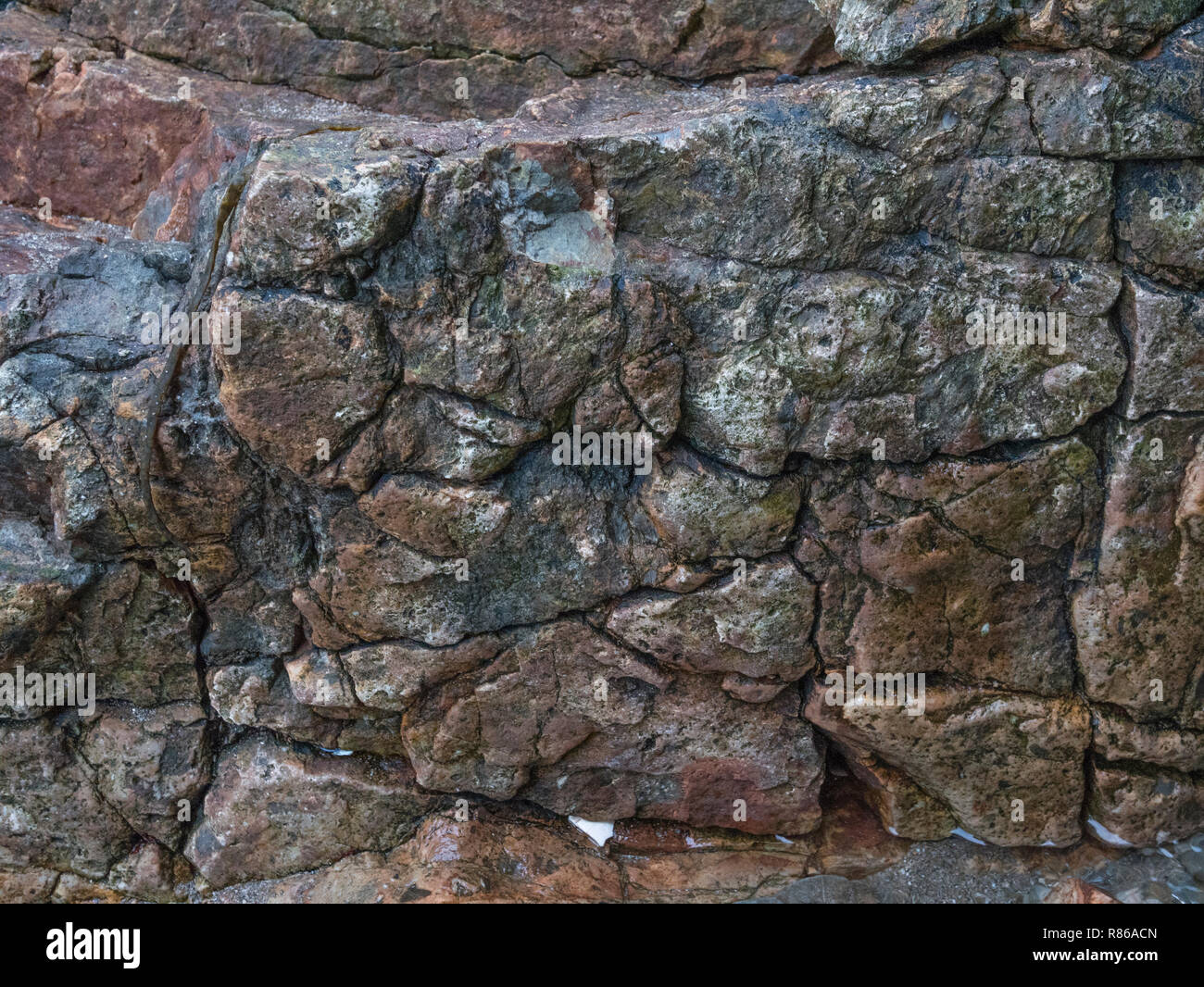 Stark verfleckt und tief zerklüfteten Quarz - Typ rocky Masse auf einem Cornwall Küste - möglicherweise gebeizt mit Bügeleisen Quelle. Stockfoto