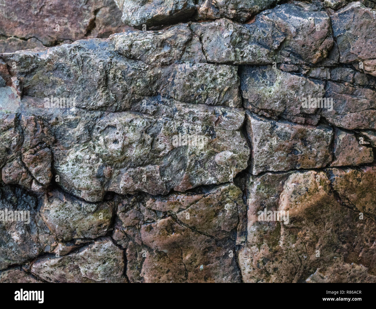 Stark verfleckt und tief zerklüfteten Quarz - Typ rocky Masse auf einem Cornwall Küste - möglicherweise gebeizt mit Bügeleisen Quelle. Stockfoto