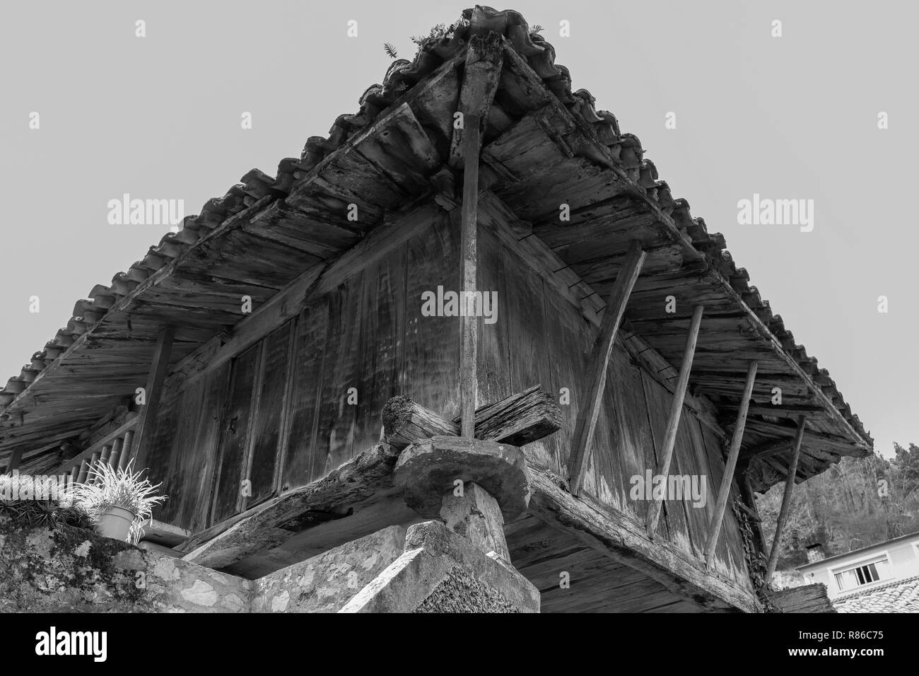 Horreo asturiano. Asturische Scheune. Populäre Architektur in bloße. Asturien. Spanien. Stockfoto