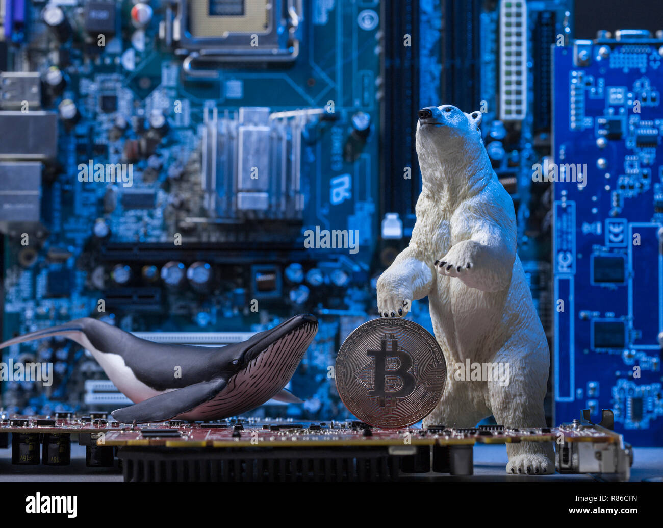 Tragen Übernahme bitcoin Wal auf Blau Intergrated Circuit Hintergrund, kreative Konzept Stockfoto