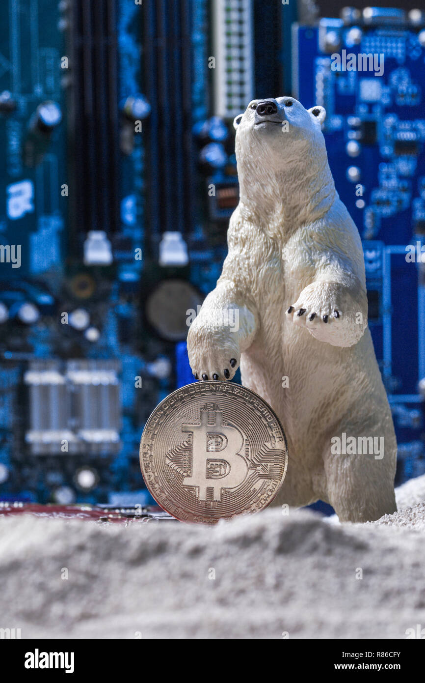 Weiß Polar bear Holding einen silbernen Bitcoin im Schnee auf Blau Intergrated Circuit Hintergrund der nuklearen Winter Konzept Stockfoto
